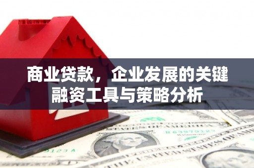 西双版纳商业贷款，企业发展的关键融资工具与策略分析
