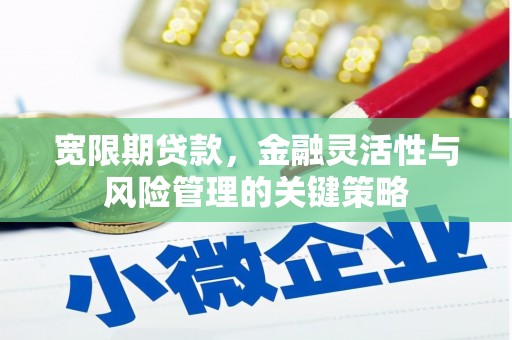 西双版纳宽限期贷款，金融灵活性与风险管理的关键策略