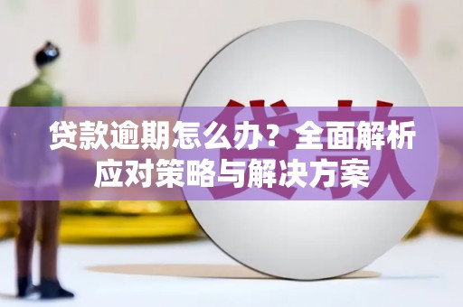 西双版纳贷款逾期怎么办？全面解析应对策略与解决方案