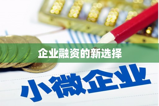 西双版纳企业融资的新选择
