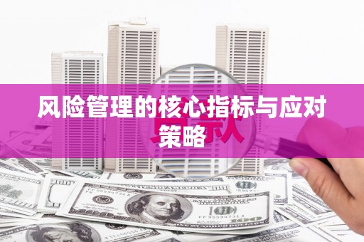 西双版纳风险管理的核心指标与应对策略
