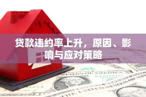 西双版纳贷款违约率上升，原因、影响与应对策略