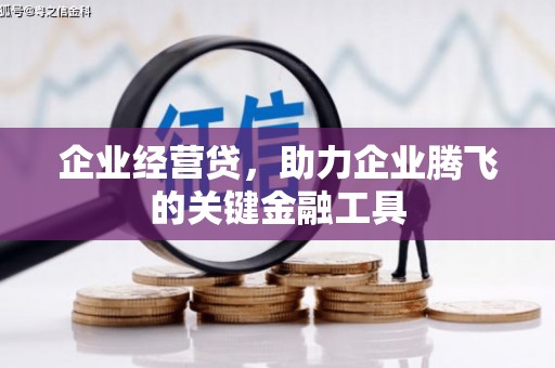 西双版纳企业经营贷，助力企业腾飞的关键金融工具