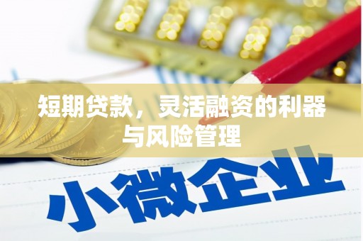 西双版纳短期贷款，灵活融资的利器与风险管理