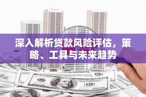 西双版纳深入解析贷款风险评估，策略、工具与未来趋势