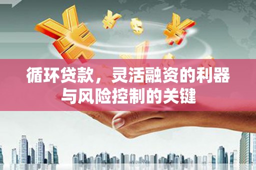 西双版纳循环贷款，灵活融资的利器与风险控制的关键