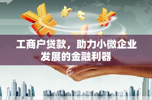 西双版纳工商户贷款，助力小微企业发展的金融利器
