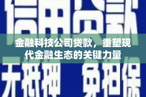 西双版纳金融科技公司贷款，重塑现代金融生态的关键力量