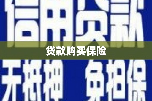 西双版纳贷款购买保险