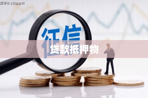 西双版纳贷款抵押物