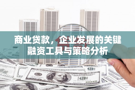 西双版纳商业贷款，企业发展的关键融资工具与策略分析