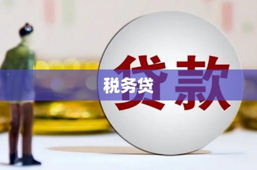 西双版纳税务贷