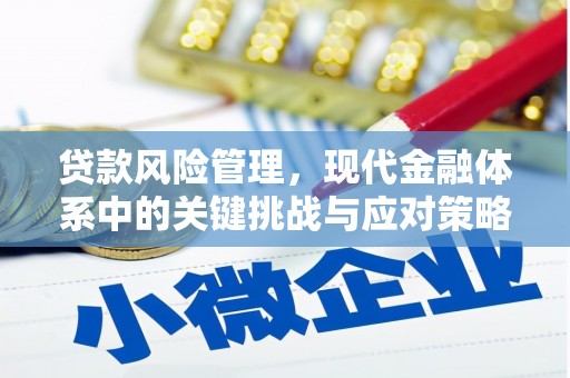西双版纳贷款风险管理，现代金融体系中的关键挑战与应对策略