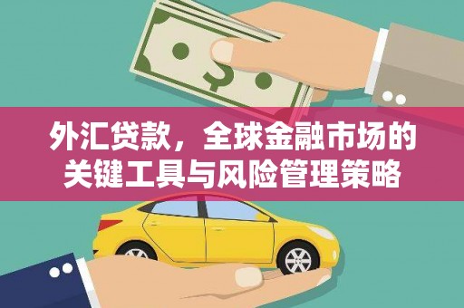 西双版纳外汇贷款，全球金融市场的关键工具与风险管理策略