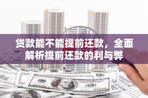 西双版纳贷款能不能提前还款，全面解析提前还款的利与弊
