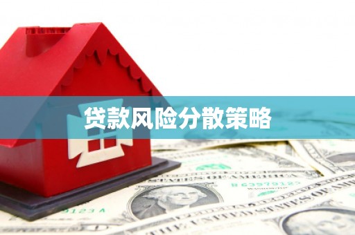 西双版纳贷款风险分散策略