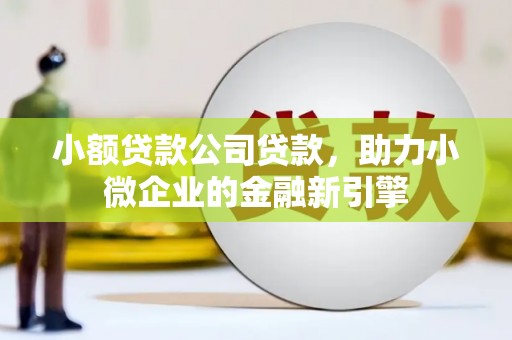 西双版纳小额贷款公司贷款，助力小微企业的金融新引擎