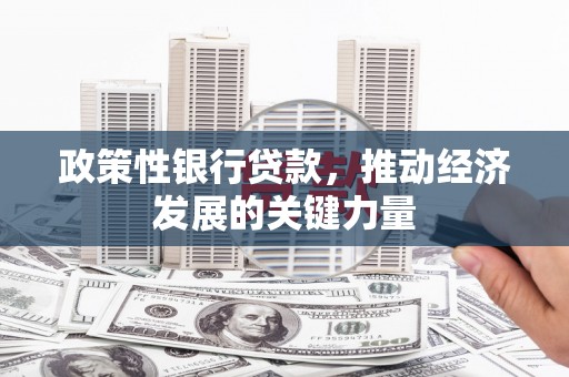 西双版纳政策性银行贷款，推动经济发展的关键力量