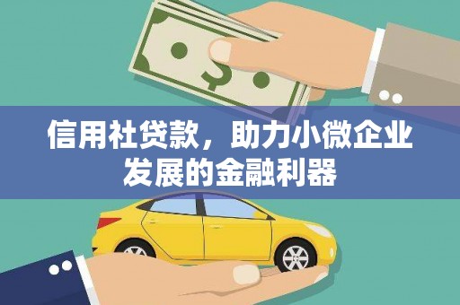 西双版纳信用社贷款，助力小微企业发展的金融利器