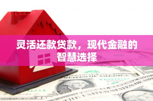 西双版纳灵活还款贷款，现代金融的智慧选择