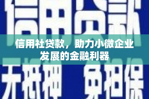 西双版纳信用社贷款，助力小微企业发展的金融利器