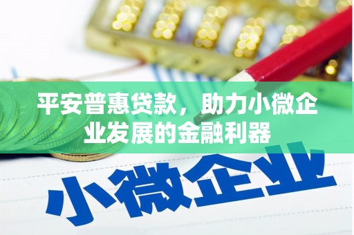 西双版纳平安普惠贷款，助力小微企业发展的金融利器