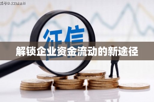 西双版纳解锁企业资金流动的新途径