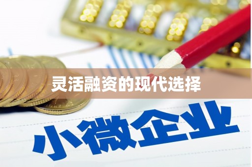 西双版纳灵活融资的现代选择