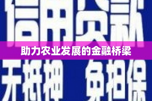 西双版纳助力农业发展的金融桥梁