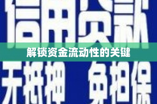 西双版纳解锁资金流动性的关键