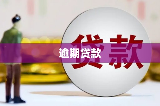 西双版纳逾期贷款