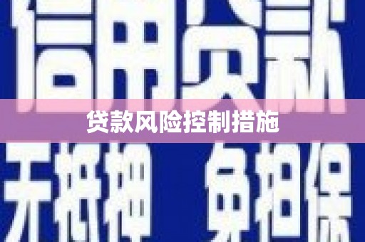 西双版纳贷款风险控制措施