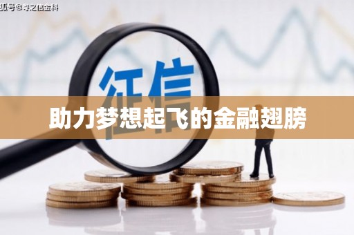 西双版纳助力梦想起飞的金融翅膀