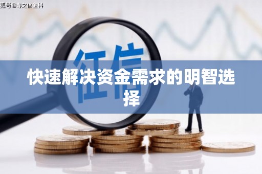 西双版纳快速解决资金需求的明智选择
