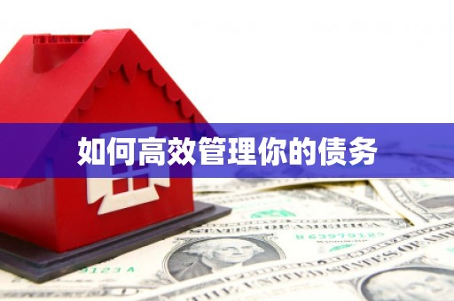 西双版纳如何高效管理你的债务