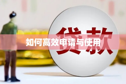 西双版纳如何高效申请与使用