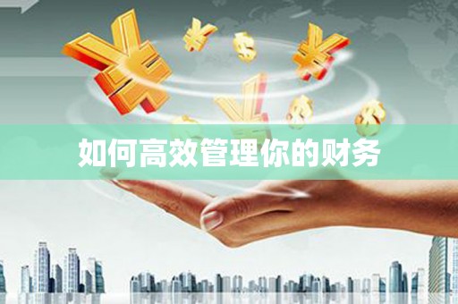 西双版纳如何高效管理你的财务
