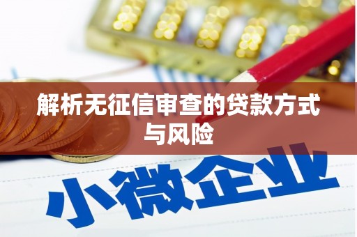 西双版纳解析无征信审查的贷款方式与风险