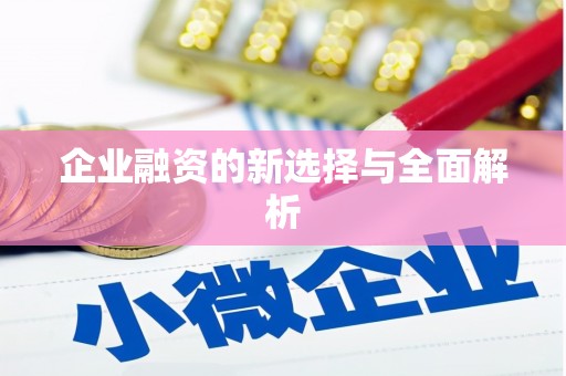 西双版纳企业融资的新选择与全面解析