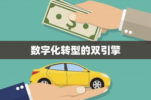 西双版纳数字化转型的双引擎