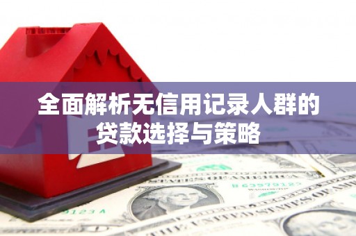西双版纳全面解析无信用记录人群的贷款选择与策略