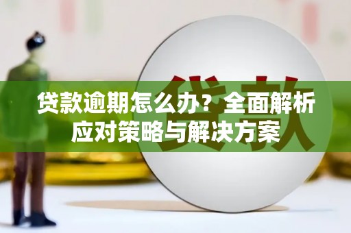 西双版纳贷款逾期怎么办？全面解析应对策略与解决方案