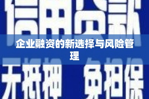西双版纳企业融资的新选择与风险管理
