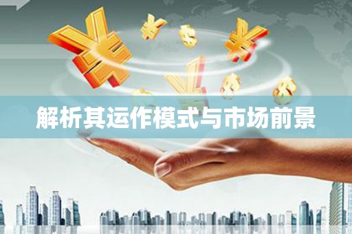 西双版纳解析其运作模式与市场前景