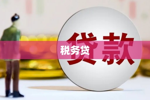 西双版纳税务贷