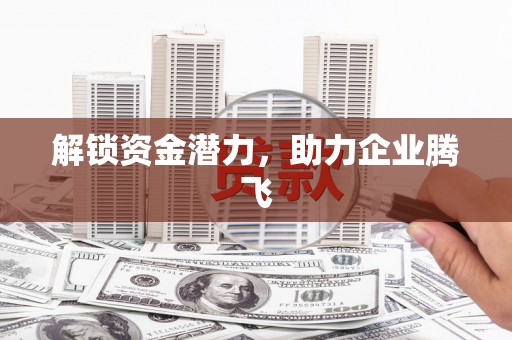 西双版纳解锁资金潜力，助力企业腾飞