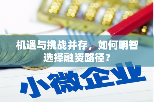 西双版纳机遇与挑战并存，如何明智选择融资路径？