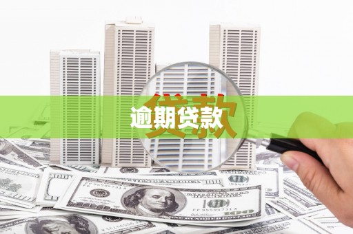 西双版纳逾期贷款