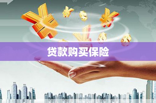 西双版纳贷款购买保险