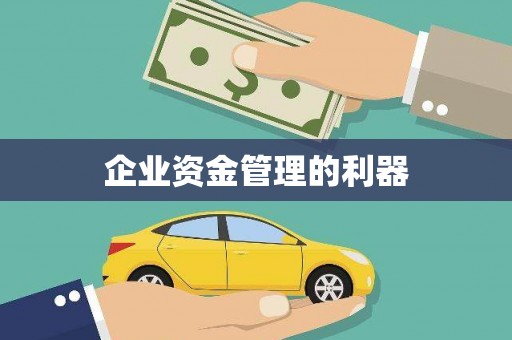 西双版纳企业资金管理的利器